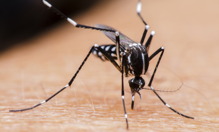 repelente-febre-amarela-dengue-dois